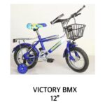 Victory BMX 12"
