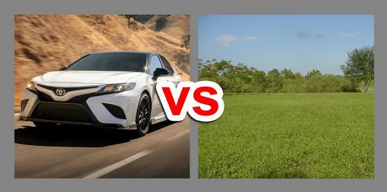 LAND VS CAR: WHICH ONE SHOULD COME FIRST?